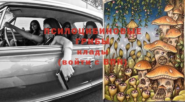 jwh Лиски