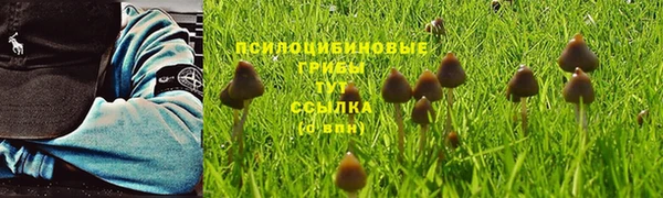 герыч Лагань