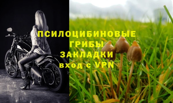 бошки Липки