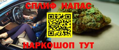 прущие грибы Пыть-Ях