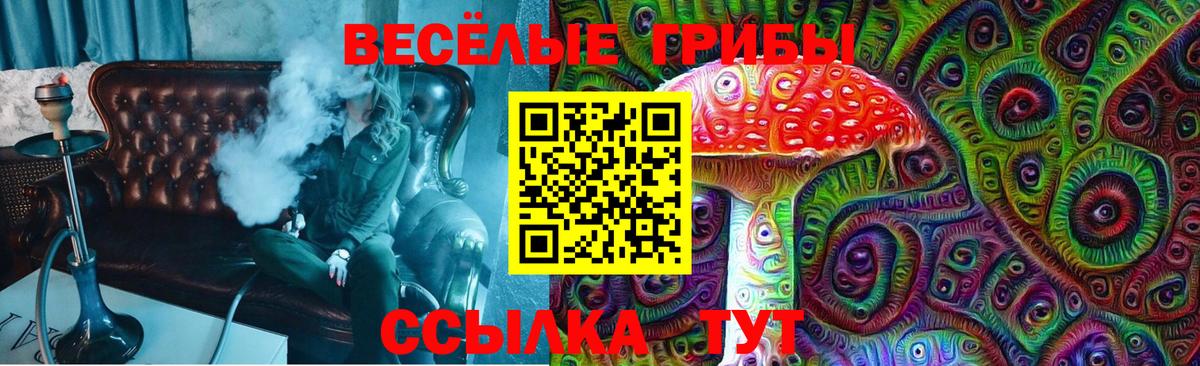 Галлюциногенные грибы Magic Shrooms  как найти наркотики  Шали 