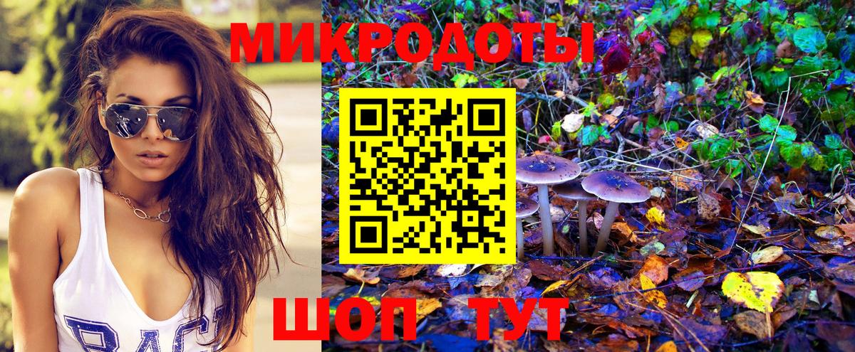 Псилоцибиновые грибы Psilocybe Шали