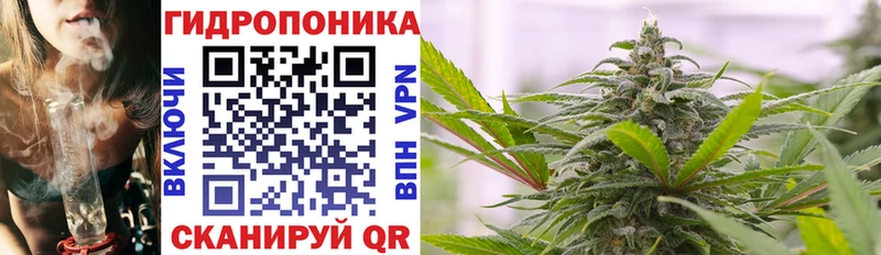 Бошки марихуана семена Шали