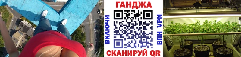 Конопля индика Шали